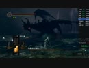 【speedsouls】ダークソウル TA 85:32 part 14