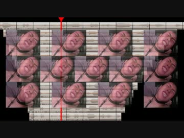 TDNで遊ぶ.mp4