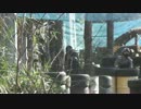 2017年1月2日　ＢＥＡＭ攻防戦その２