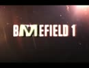 BMEfield1