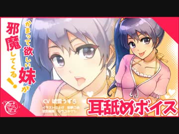 【耳舐めボイス】かまって欲しい妹が邪魔してくる！【イヤホン推奨】