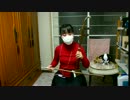 【けものフレンズ】ようこそジャパリパークへ　二胡で弾いたその２