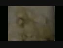 ホモと見る でかい卵を高画質化しようとした物件紹介動画のお姉さん
