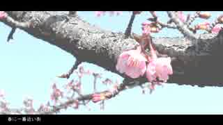 ►春に一番近い街 歌ってみた【フォト】