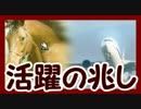 【Winning Post 8 2016】俺はこの世界でハーレムを目指す！ Part.84