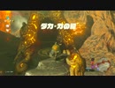 【ゼルダの伝説 ブレスオブザワイルド】ダカ・カの祠