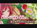 ニコカラ HD：Ideal Apple / 塩音ルト（On Vocal）