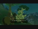 【実況：ゼルダの伝説】ブレスオブザワイルド_初見でゆる縛り_Part11