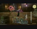 【FF14】アマジナ杯闘技会決勝戦 ナイト ソロ