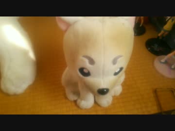 世界のトオノになった定春