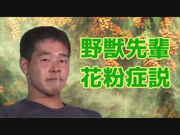 野獣先輩花粉症説