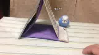 鏡で遊ぶセキセイインコ VS 手