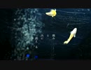 「-ELIS-」のMV作ってみた Short ver.