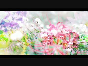 【東方アレンジ】再会【此岸の塚】