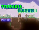 【Terraria】完全初見！テラリアの世界を冒険！ Part.23