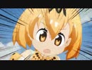 サーバル「強いられているんだ！」