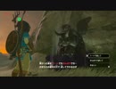 【実況：ゼルダの伝説】ブレスオブザワイルド_初見でゆる縛り_Part24