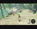 「ゼルダの伝説ブレスオブザワイルド」世界を救う気がないリンクpart5