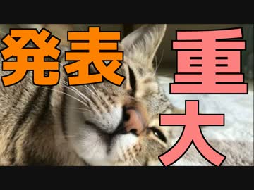 【いつも見てくださってる方に】重大発表と相談