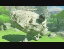 【Switch】ブレワイでよりみち ６【ゼルダの伝説BotW】