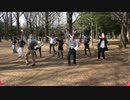 【代々木ハレオフ】バンバン【けものフレンズプロジェクト】