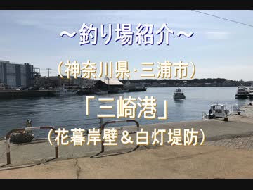 釣り場紹介 その6（三崎港：花暮岸壁＆白灯堤防）