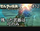 ゼルダの伝説ブレスオブザワイルド100%クリア目指す Part12
