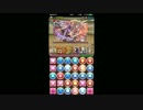 実況【パズドラ】極限の闘技場１を挑戦 #29【魔砲士】