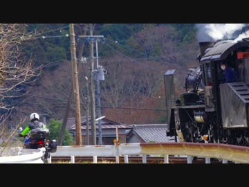 【静岡県】SLと並走してきました【NegativeRider】