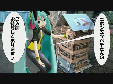 【素人養蜂　Part15】巣箱の完成です