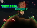 【Terraria】完全初見！テラリアの世界を冒険！ Part.25