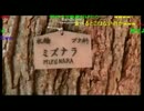 【歌ってみた】ミズナラの歌【全部俺】