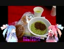 【琴葉茜・葵】琴葉姉妹、旅行中。8日目午後【チェビフェス等】