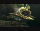 【4人視点】たぬきの狩猟生活 in MH3G Part-56