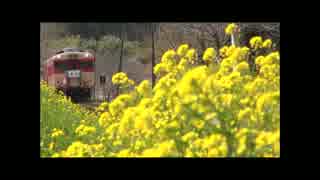 いすみ鉄道～菜の花