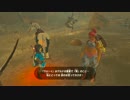【実況：ゼルダの伝説】ブレスオブザワイルド_初見でゆる縛り_Part48
