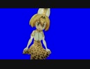 直立不動サーバルちゃんBB+α