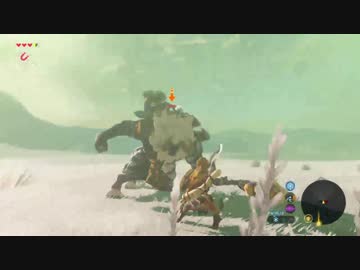 ゼルダの伝説botw 雪原ライネル