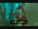 ゼルダの伝説 ブレスオブザワイルド 10話