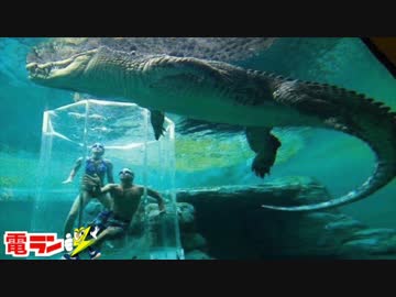 【衝撃】世界で最もヤバいプール８選