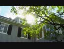 Michael Bublé - I Believe in You