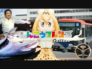 ようこそバンダイシテイへ