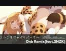 ようこそジャパリパークへ Dnb Remix (feat.SNZK)