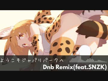 ようこそジャパリパークへ Dnb Remix (feat.SNZK)