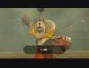 【実況：ゼルダの伝説】ブレスオブザワイルド_初見でゆる縛り_Part51