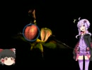 ゆっくりと結月ゆかりのMH3裸縛り実況プレイpart3