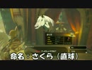 【ゼルダの伝説BotW実況】初実況だけど失踪予定 part6
