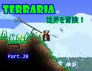 【Terraria】完全初見！テラリアの世界を冒険！ Part.28