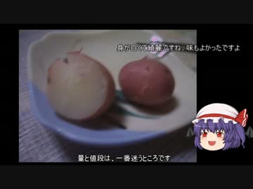 ゆっくり農民52ジャガイモ(春)を育ててみませんか？＃4