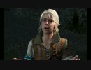 【Witcher3】げら散歩 #01
